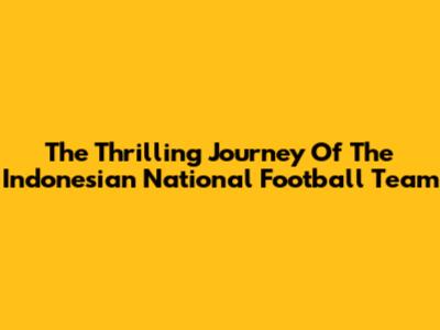 **The Thrilling Journey Of The Indonesian National Football Team**