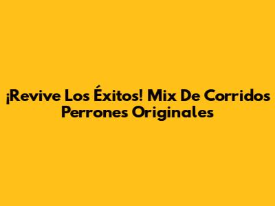 ¡Revive Los Éxitos! Mix De Corridos Perrones Originales