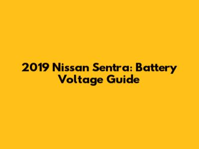 2019 Nissan Sentra: Battery Voltage Guide