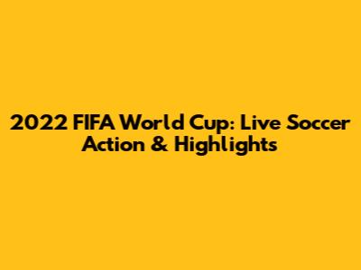 2022 FIFA World Cup: Live Soccer Action & Highlights