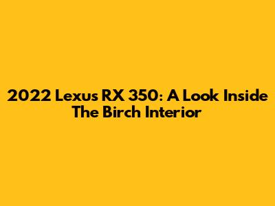 2022 Lexus RX 350: A Look Inside The Birch Interior
