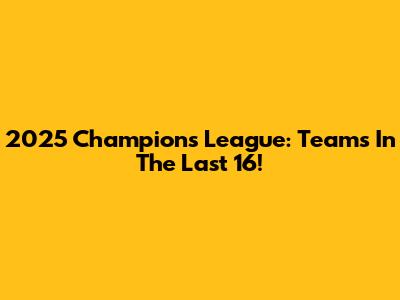 2025 Champions League: Teams In The Last 16!