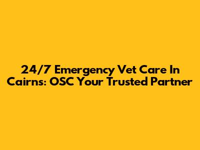 24/7 Emergency Vet Care In Cairns: OSC Your Trusted Partner