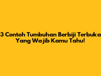 3 Contoh Tumbuhan Berbiji Terbuka Yang Wajib Kamu Tahu!