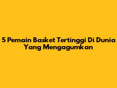 5 Pemain Basket Tertinggi Di Dunia Yang Mengagumkan
