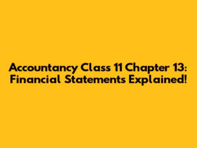 Accountancy Class 11 Chapter 13: Financial Statements Explained!