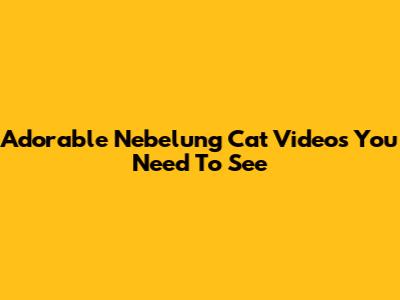 Adorable Nebelung Cat Videos You Need To See