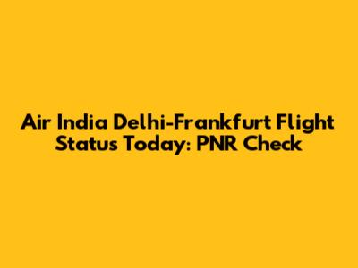 Air India Delhi-Frankfurt Flight Status Today: PNR Check