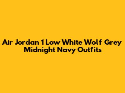 Air Jordan 1 Low White Wolf Grey Midnight Navy Outfits