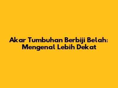 Akar Tumbuhan Berbiji Belah: Mengenal Lebih Dekat