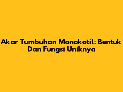 Akar Tumbuhan Monokotil: Bentuk Dan Fungsi Uniknya