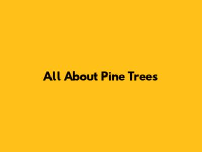 All About Pine Trees
