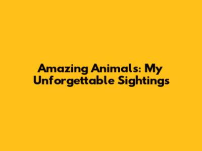 Amazing Animals: My Unforgettable Sightings