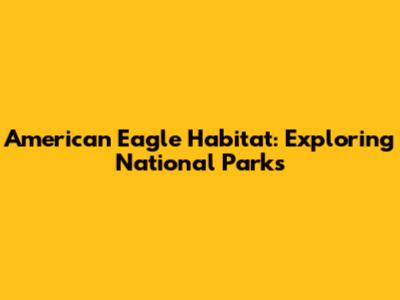 American Eagle Habitat: Exploring National Parks