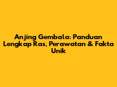 Anjing Gembala: Panduan Lengkap Ras, Perawatan & Fakta Unik