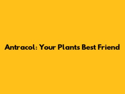 Antracol: Your Plant's Best Friend