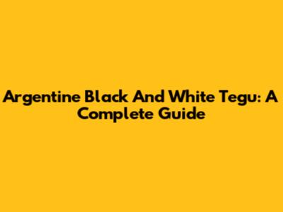 Argentine Black And White Tegu: A Complete Guide
