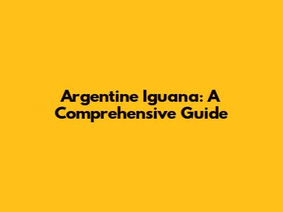 Argentine Iguana: A Comprehensive Guide