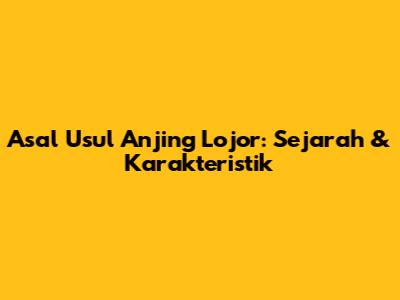 Asal Usul Anjing Lojor: Sejarah & Karakteristik