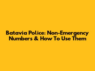 Batavia Police: Non-Emergency Numbers & How To Use Them