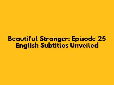 Beautiful Stranger: Episode 25 English Subtitles Unveiled