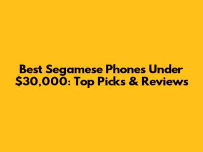 Best Segamese Phones Under $30,000: Top Picks & Reviews