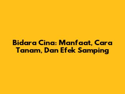 Bidara Cina: Manfaat, Cara Tanam, Dan Efek Samping