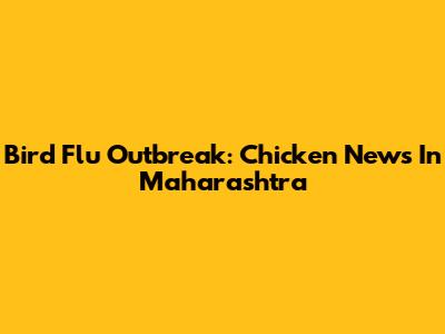Bird Flu Outbreak: Chicken News In Maharashtra