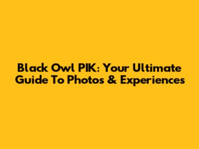 Black Owl PIK: Your Ultimate Guide To Photos & Experiences