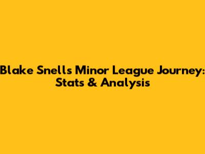 Blake Snell's Minor League Journey: Stats & Analysis