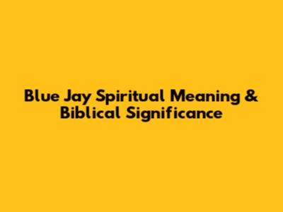 Blue Jay Spiritual Meaning & Biblical Significance