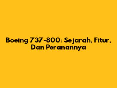 Boeing 737-800: Sejarah, Fitur, Dan Peranannya