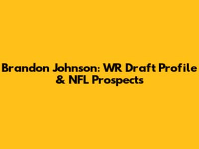 Brandon Johnson: WR Draft Profile & NFL Prospects