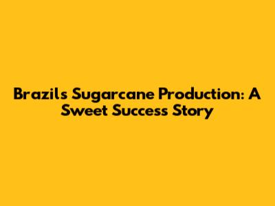 Brazil's Sugarcane Production: A Sweet Success Story