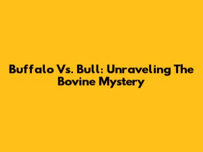 Buffalo Vs. Bull: Unraveling The Bovine Mystery
