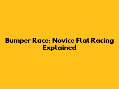 Bumper Race: Novice Flat Racing Explained