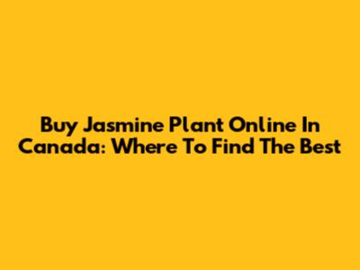 Buy Jasmine Plant Online In Canada: Where To Find The Best