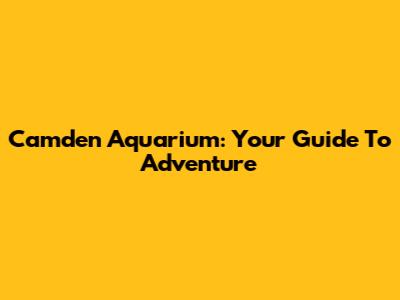 Camden Aquarium: Your Guide To Adventure