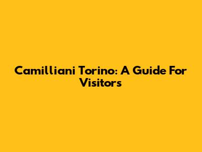 Camilliani Torino: A Guide For Visitors