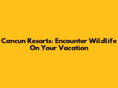 Cancun Resorts: Encounter Wildlife On Your Vacation