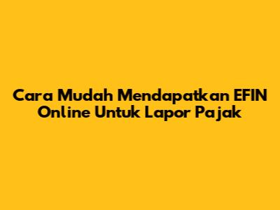 Cara Mudah Mendapatkan EFIN Online Untuk Lapor Pajak