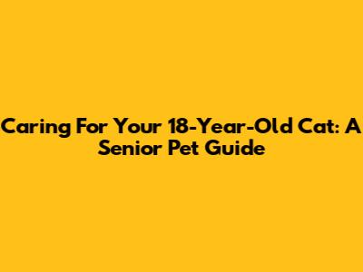 Caring For Your 18-Year-Old Cat: A Senior Pet Guide