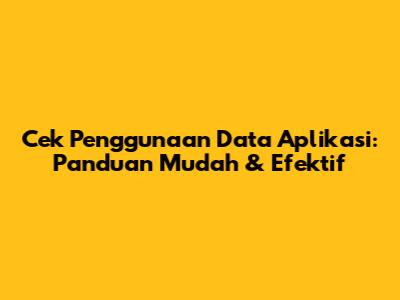Cek Penggunaan Data Aplikasi: Panduan Mudah & Efektif