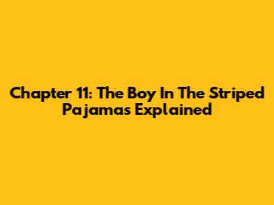 Chapter 11: The Boy In The Striped Pajamas Explained