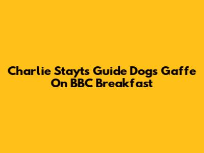 Charlie Stayt's Guide Dogs Gaffe On BBC Breakfast