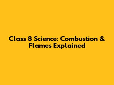 Class 8 Science: Combustion & Flames Explained