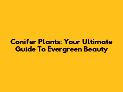Conifer Plants: Your Ultimate Guide To Evergreen Beauty