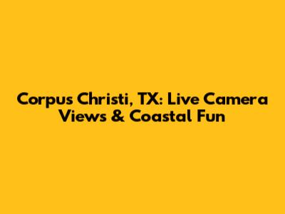 Corpus Christi, TX: Live Camera Views & Coastal Fun