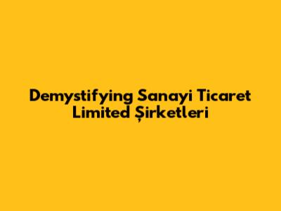 Demystifying Sanayi Ticaret Limited Şirketleri