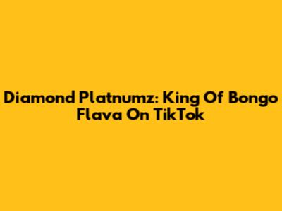 Diamond Platnumz: King Of Bongo Flava On TikTok